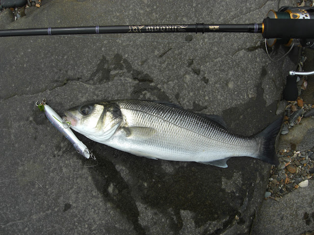 Shell Island Fishing