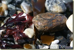 SONY DSC