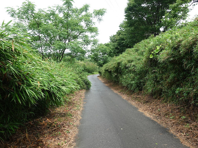 鳥取県米子市淀江町小波　袋小路の道を引き返します