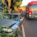 Após ser fechado por carreta, motorista bate em árvore em Apucarana