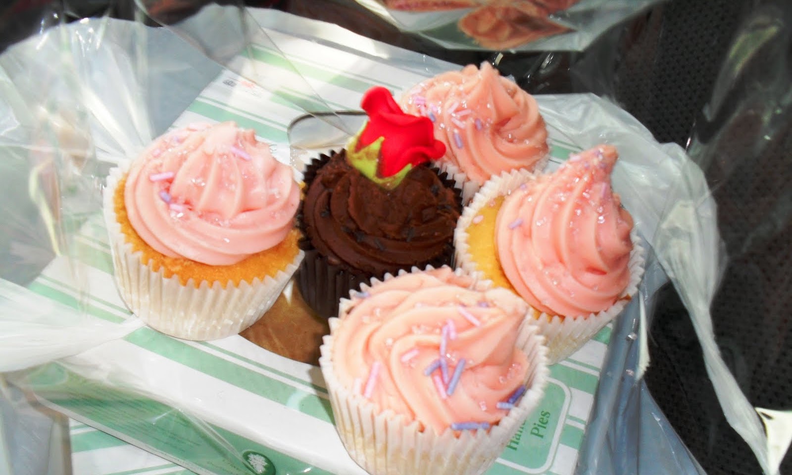 Queen of Cupcakes