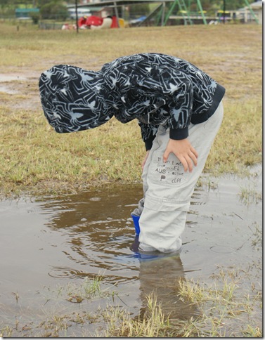 jaipuddles9