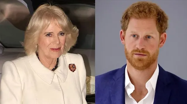 Queen Camilla Sets Aside Differences with Prince Harry for Royal Engagement