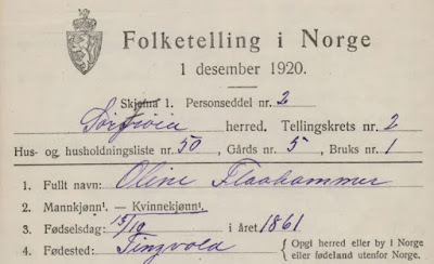 Oline Olsdatter i folketellingen 1920