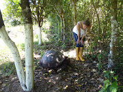 Their farm is frequented by a roaming Giant Tortoise they've named Ophelia.