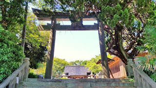 人文研究見聞録：大歳神社（元浜町） ［島根県］