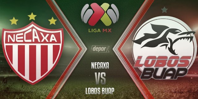 Necaxa vs Lobos BUAP  en vivo - Tornero Apertura de la Liga Mx. fecha 15. on line 28/10/2017