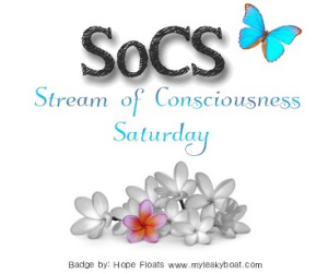 http://lindaghill.com/2016/03/04/the-friday-reminder-and-prompt-for-socs-march-516/