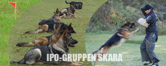 IPO gruppen Skara