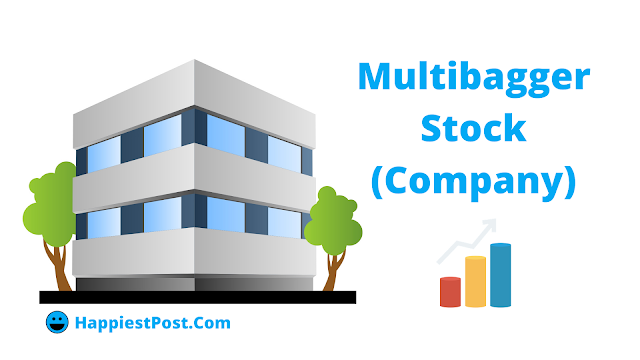 Multibagger stock