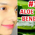 15 Skincare Benefits & Uses Of ALOE VERA