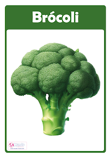 Verduras o Vegetales Brocoli