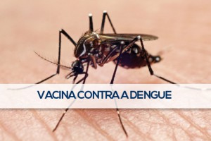 Primeira vacina contra a dengue no país terá preço de até R$ 138 a dose