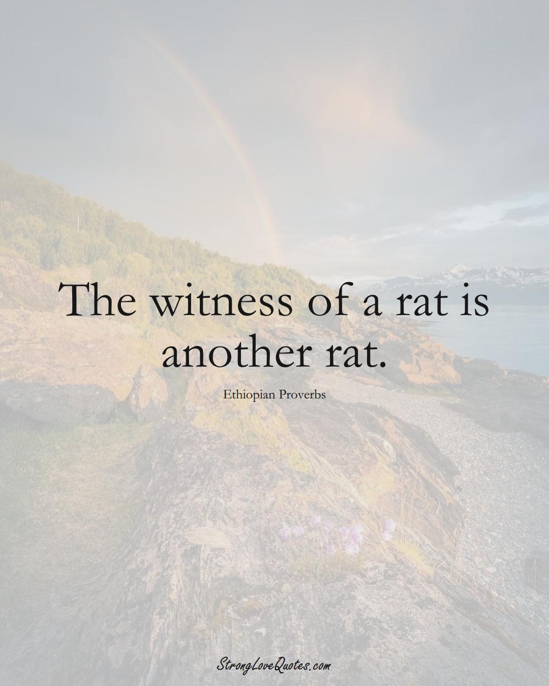 The witness of a rat is another rat. (Ethiopian Sayings);  #AfricanSayings