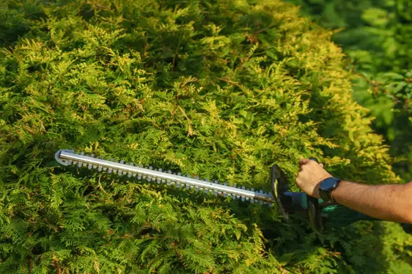 Garden Tools