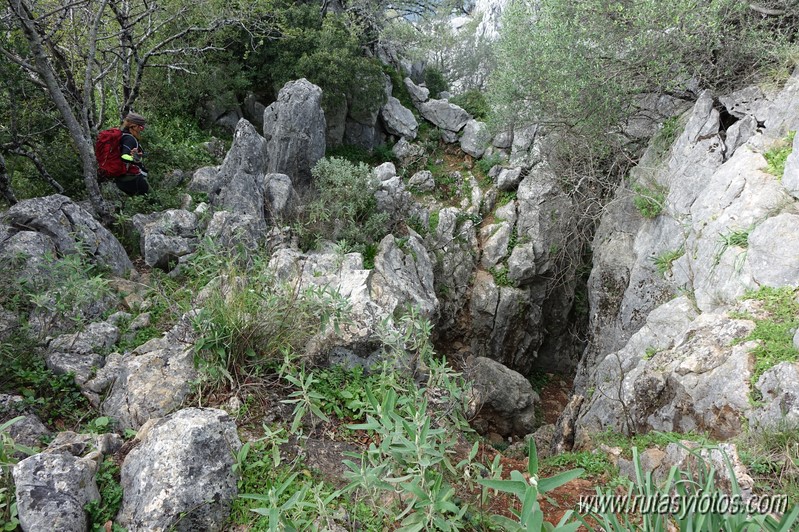 El Cintillo - Sierra Baja de Ubrique - Paso del Bombo - Ubrique - Cañada de los Pernales