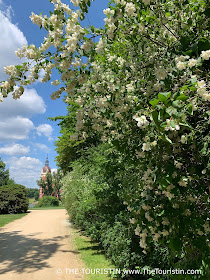 A sand paved path next to white flowering bushes with a red painted castle in the distance.