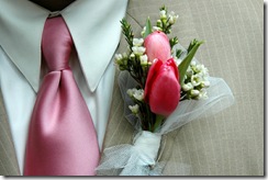 TulipBoutonieereM_91191326