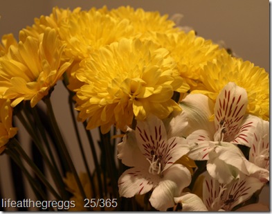 P1280139