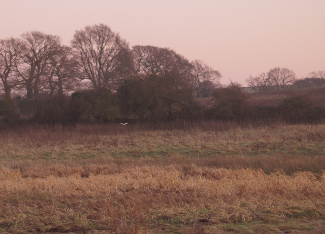 sunset on a frosty winter day in the countryside in Norfolk