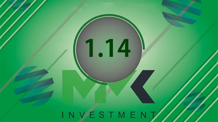 Отчет от MMK Investment