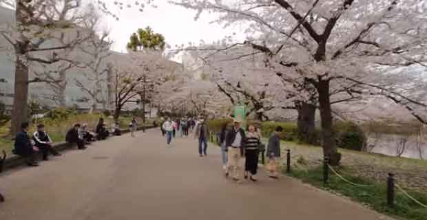 Tempat Wisata di Jepang