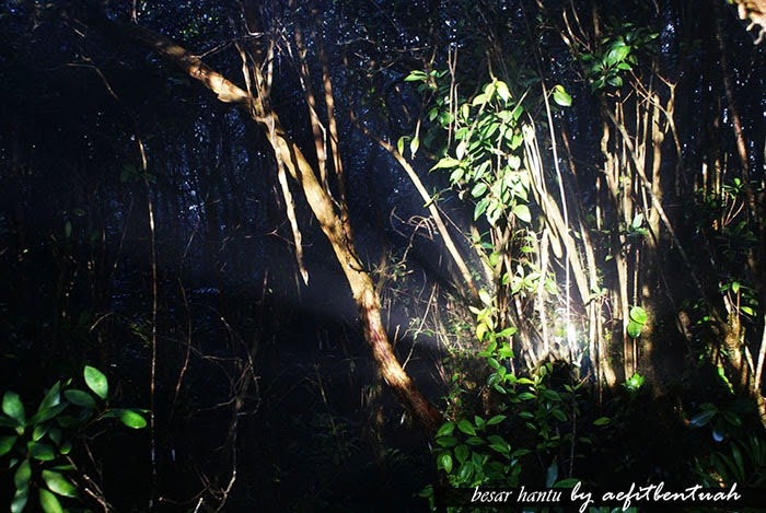 SONY DSC