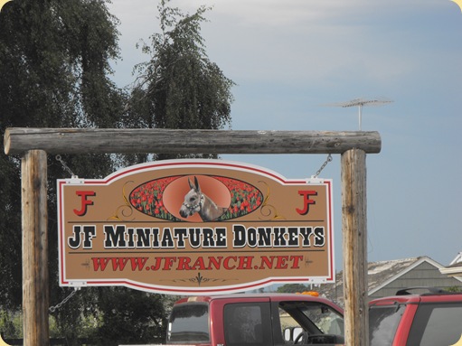 La Conner, WA 154