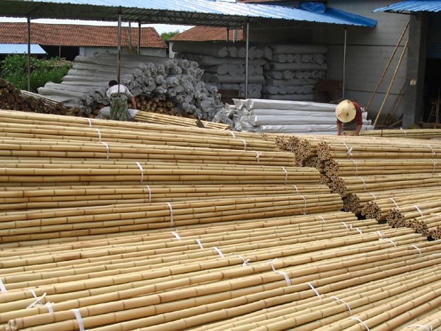 Art Wall Decor: Dried Bamboo Sticks Photo