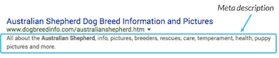 Meta-description-example