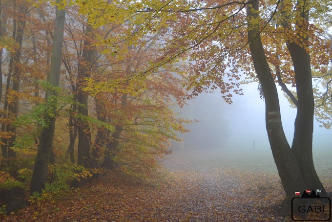 Leopoldsberg we mgle