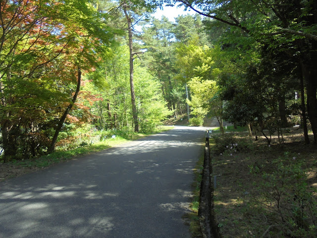 別荘地の美しい道