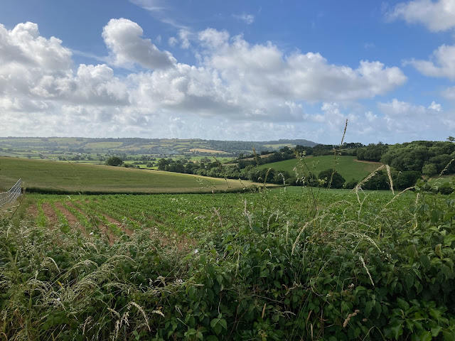 Devon views