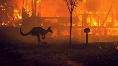 Australia's Densely Populated States to See above Normal Bushfire Potential in Summer