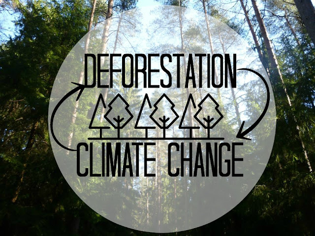 deforestation climate change