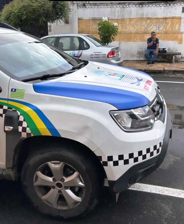 Ação conjunta entre OAB, PM e Corpo de Bombeiros resgata gata presa em casa abandonada