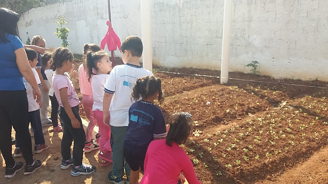 Conheça o projeto de horta dos aluninhos da unidade de ensino municipal "EMEI. Prof. Paulo Camilher Frorençano - Água Quente 1