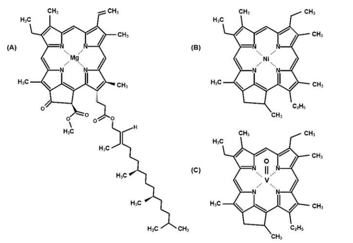 Fig. 14 Comparison of chlorophyll A with a Ni-containing porphyrin (B) and a vanadium-containing porphyrin (C)