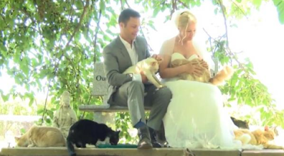 Esta pareja ama a los gatos tanto que invitaron a más de 1000 felinos a su boda