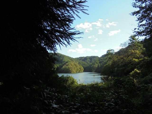 美しい赤松池