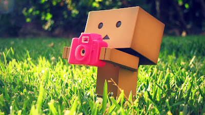 Wallpaper Danbo computer free