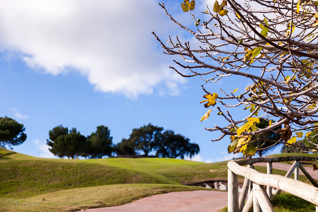 La Cala Golf Hotel Spa Mijas, Costa del Sol, Andalucia