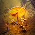 Mushroom Photoshop Manipulation By Picture Fun