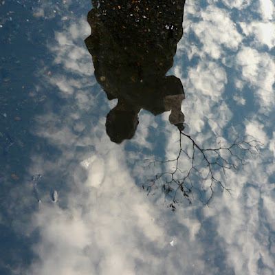 Fotografía Gladys Calzadilla, Caracas, Venezuela.