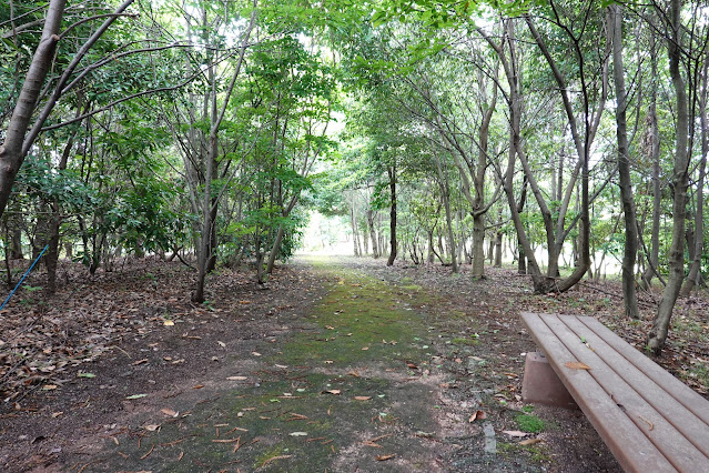 鳥取県西伯郡大山町妻木 鳥取県立むきばんだ史跡公園 木の実の森