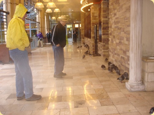 Riverwalk 103