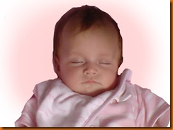 phoebe pink copy