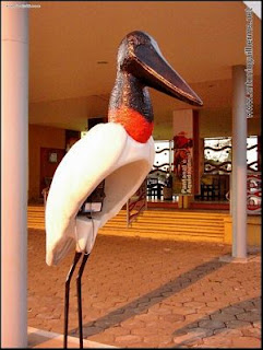 Cabines Telefônicas Curiosas de Mato Grosso do Sul ou orelhão