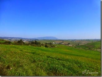 P1080489