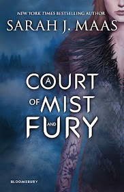 A Court of Mist and Fury by Sarah J. Maas (Fan-Made)